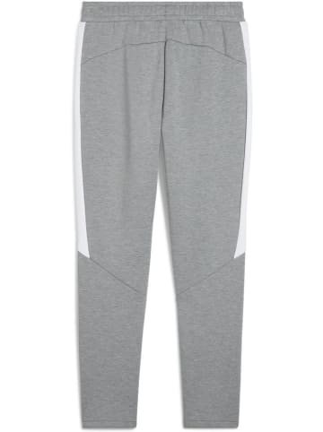Puma Sporthose "TeamEVOSTRIPE Pants" in Grau