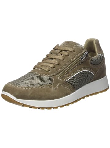 ara Freizeit Schnürer für Herren in beige in beige