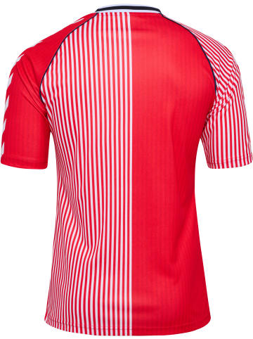 Hummel T-Shirt Dbu 86 Fußball Erwachsene in RED/WHITE