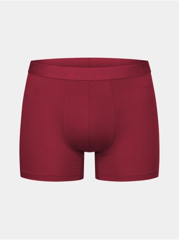 Erlich Textil LIGHT TOUCH PANTS in bordeaux