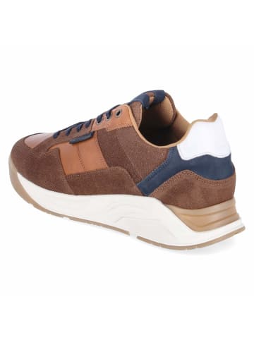 Bullboxer Low Sneaker in braun