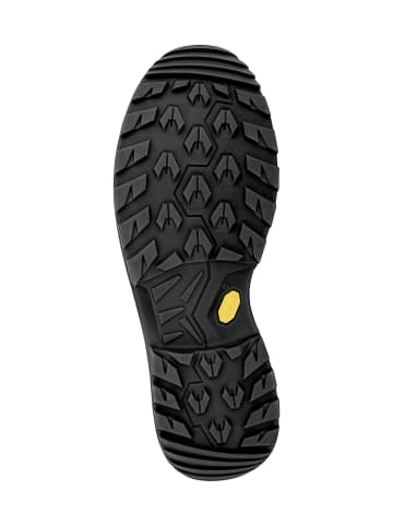LOWA Wanderstiefel RENEGADE EVO GTX in anthrazit/stahlblau
