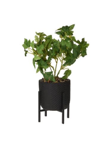 Home&Styling Collection Kunstpflanze in schwarz