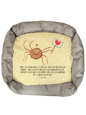 Mr. & Mrs. Panda Katzenliege Spinne Agathe Motivation mit Spruch in Gelb Pastell