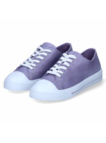 Andrea Conti Low Sneaker in Violett