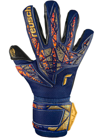 Reusch Torwarthandschuh Attrakt Gold X in 4411 premium blue/gold/black