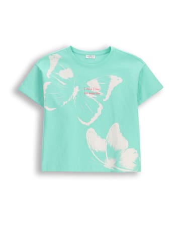 Coccodrillo Baumwoll-T-Shirt mit kurzen Ärmeln in in Minzfarbe