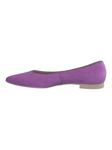 Paul Green Ballerinas in Violett