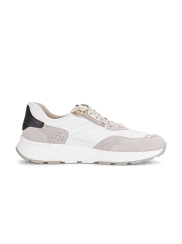 Gabor Sneaker low in beige