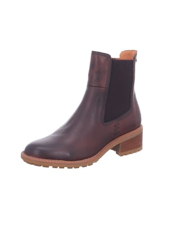 Pikolinos Stiefel in bunt