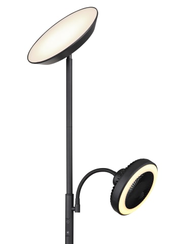 Globo lighting Deckenfluter "DAVYD" in black