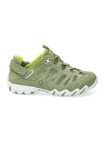 Allrounder Halbschuh Niwa Velourleder / Mesh in Moss Stone