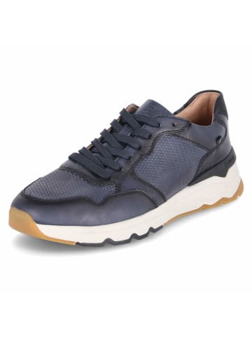 rieker Low Sneaker in Blau