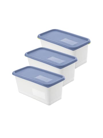 Rotho Set Gefrierdosen 3 x 1.5l mit beschriftbarem Deckel in Horizontblau