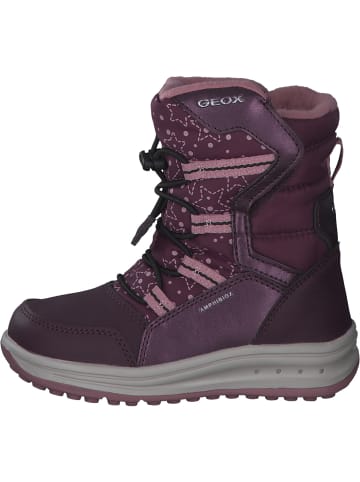 Geox Stiefeletten in VIOLET/PINK