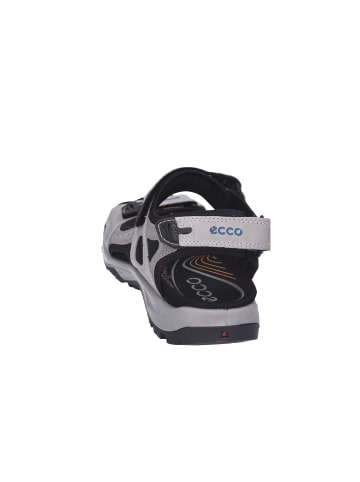 Ecco Outdoorsandalen Offroad in concrete/wild/dove