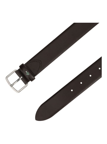 Lacoste Gürtel in Braun/Rot