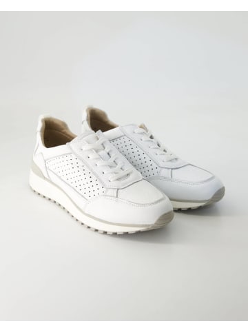Terry Sneaker low in Weiß