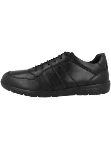 Geox Sneaker low U Leitan H in schwarz