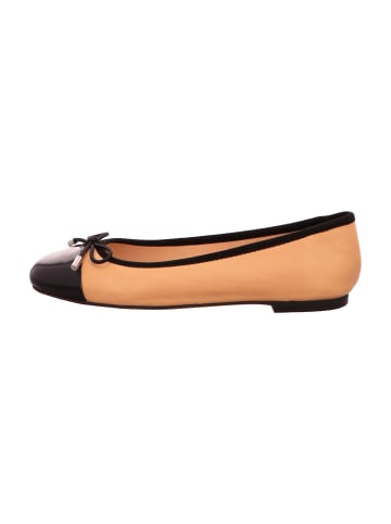 INUOVO Ballerinas in Beige