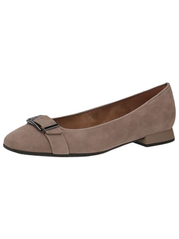 Caprice Ballerina in MUD SUEDE