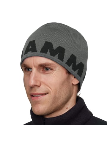 Mammut Mütze in Grau