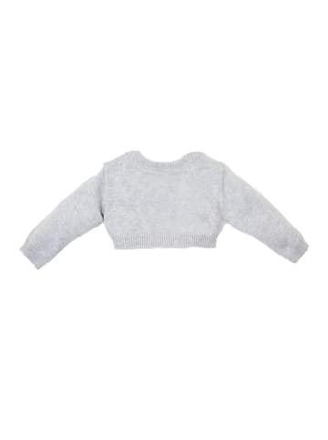 Tutto Piccolo Übergangsjacke in Gray