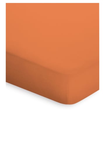 Bassetti Spannbettlaken Topper in orange