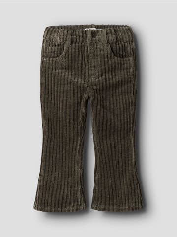 name it Hose in Sea Turtle