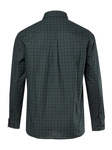 Men Plus Hemd in tannengrün