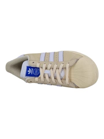 adidas Sneaker Superstar in Weiß