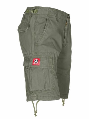 Molecule Cargoshorts Cargo in Olive green
