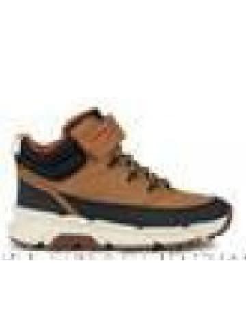 Geox Schnürstiefel Felxyper Plus in Braun