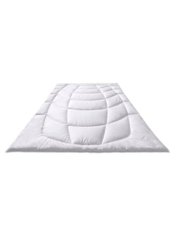 Sanders-Kauffmann Kamelhaarbettdecke Steppbett - Mono (Medium), 135x200cm