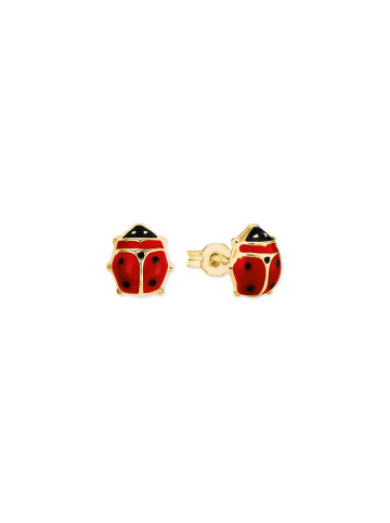 Amor Ohrstecker Gold 375/9 ct in Rot