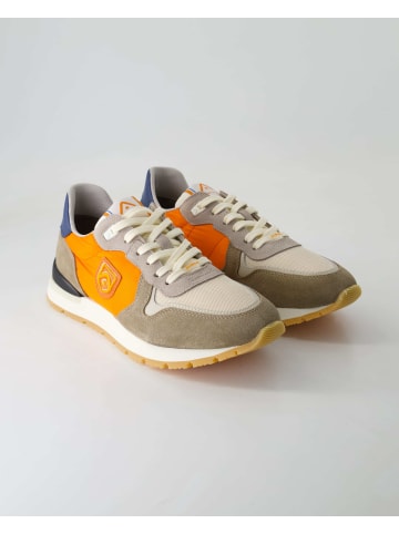 Ambitious Sneaker low in Beige