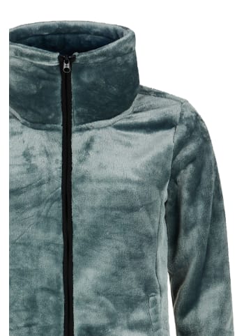 Protest " PRTVANCE in Evergreen