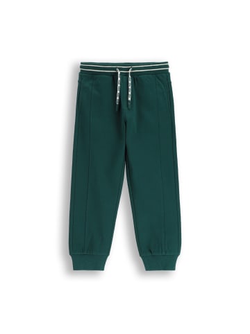 Coccodrillo Jogginghose in grün