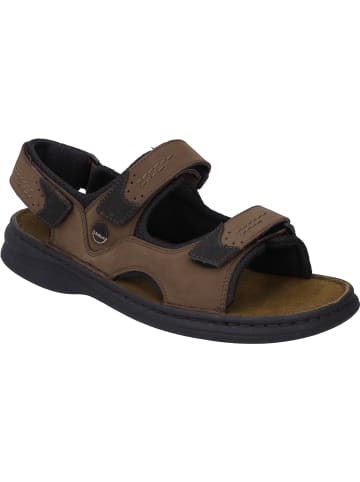 Josef Seibel Sandale Franklyn Thunder in brasil/schwarz