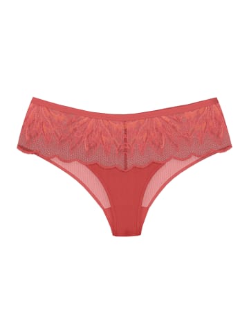 Triumph Hipster Crazy Stupid Love Hipster in BLOOD ORANGE