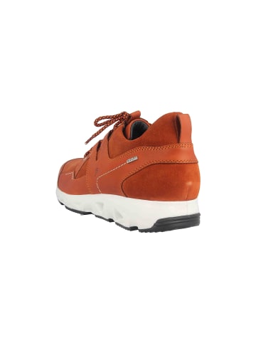 Josef Seibel Sneaker in Orange