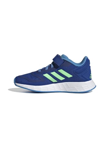 adidas Trainingsschuh DURAMO 10 in royblu/beamgr/pulblu