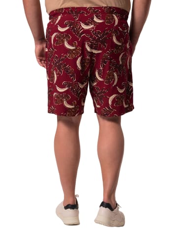 Men Plus Bermuda in burgunderrot