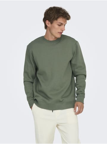 ONLY & SONS Sweatshirt in Castor Gray 1