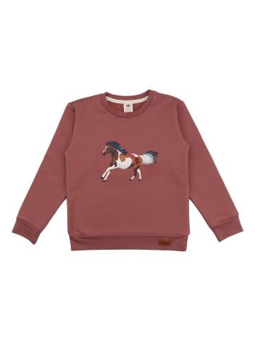 Walkiddy Sweatshirt Pullover-Sweatshirt aus Baumwolle (Bio)