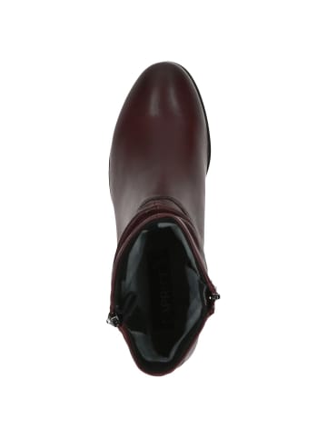 Caprice Stiefelette in BORDEAUX NAPPA