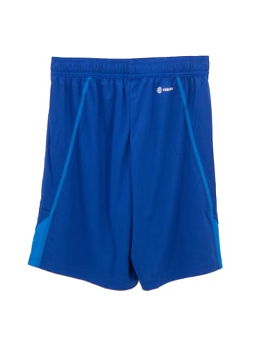 adidas Shorts Dfb Tiro 23 Gk in Blau