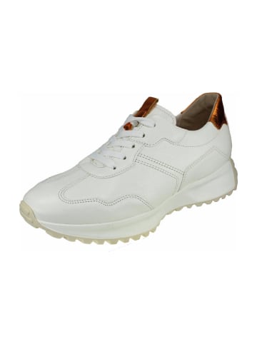 Gabor Trainings- & Hallenschuhe in Weiß