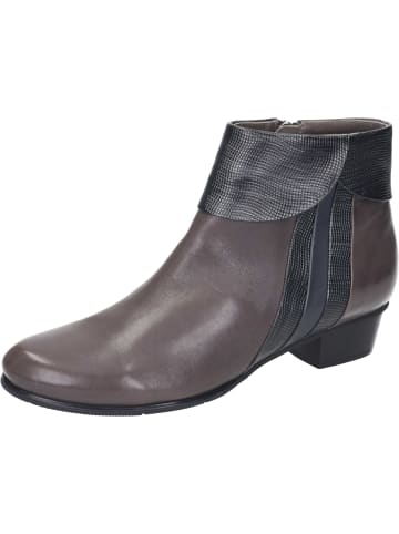 Piazza Klassische Stiefeletten in muddy/grey