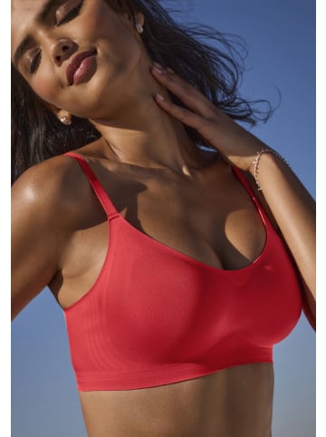 nuance Bralette-BH in cherry